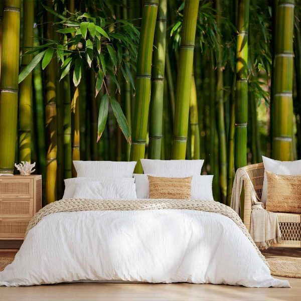 Papier peint - Eucalyptus alley – bamboo grove in juicy green tone