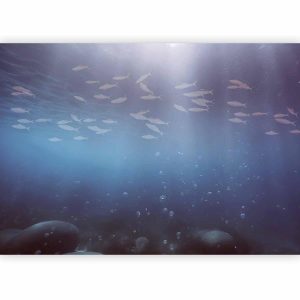 Papier peint - Fish in the depths