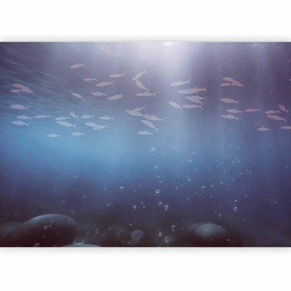 Papier peint - Fish in the depths