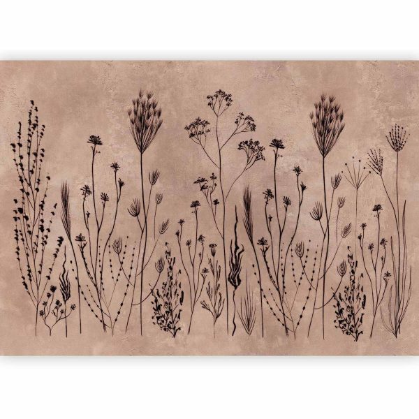 Papier peint - Wildflowers – black plants on lime-wash background
