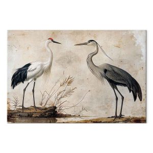 Tableau - Birds from an old engraving - vintage-style illustration depicting a heron and a crane