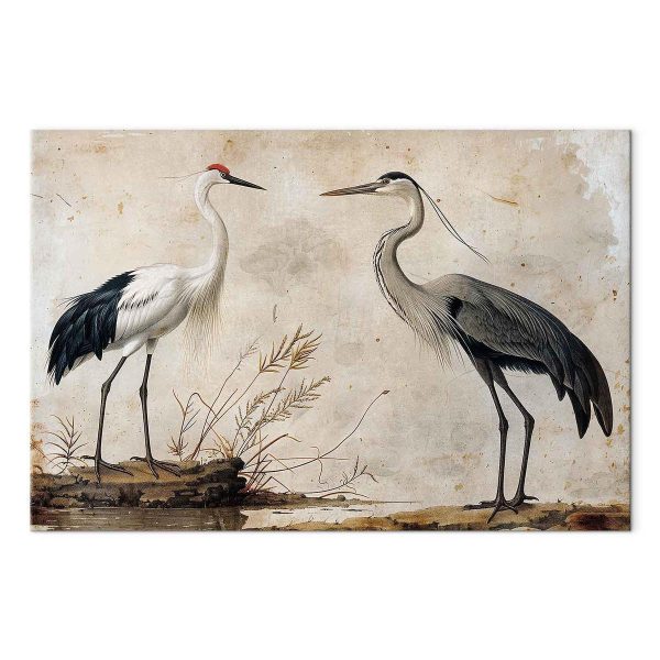 Tableau - Birds from an old engraving - vintage-style illustration depicting a heron and a crane