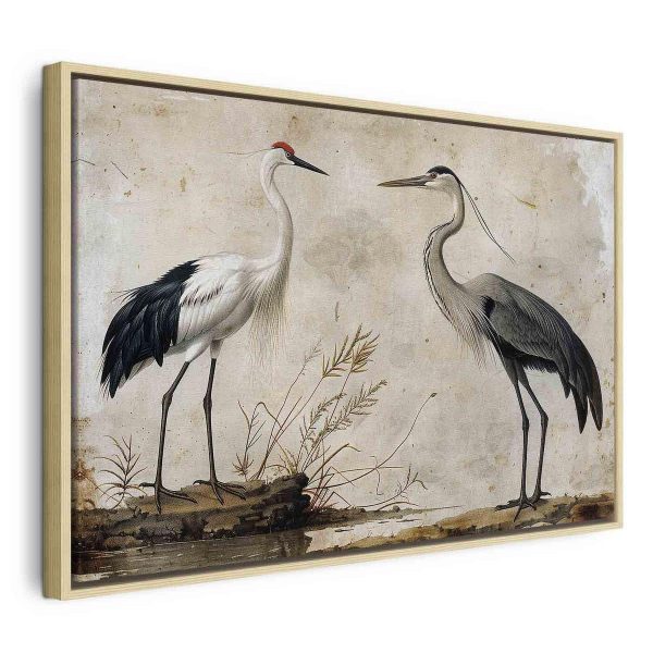 Tableau - Birds from an old engraving - vintage-style illustration depicting a heron and a crane