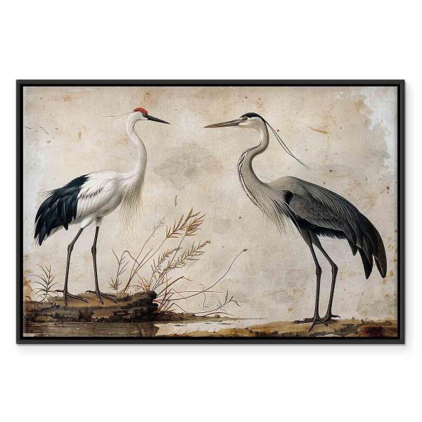 Tableau - Birds from an old engraving - vintage-style illustration depicting a heron and a crane