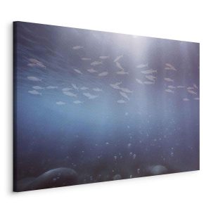 Tableau - Fish in the depths