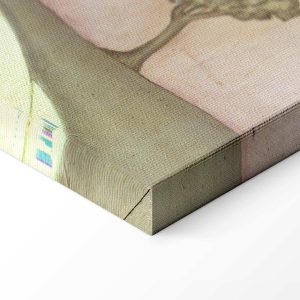 Tableau - Frida Kahlo – The White Lady