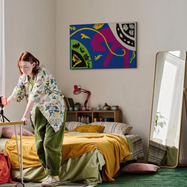 Tableau - Henri Matisse – Horse, Rider and Clown (from Jazz)