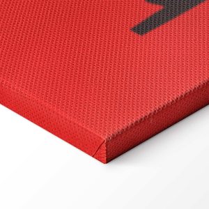 Tableau - Henri Matisse – The Swimmer in the Aquarium (from Jazz)