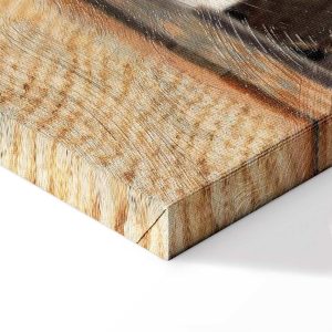 Tableau - Jan Vermeer – The Little Street