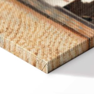 Tableau - Jan Vermeer – The Little Street