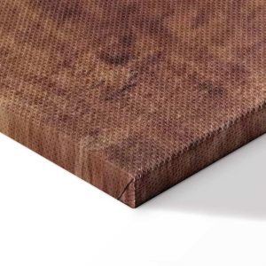 Tableau - Leonardo da Vinci – Head of a Young Woman (Leda)