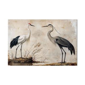 Tableau XXL - Birds from an old engraving - vintage-style illustration depicting a heron and a crane