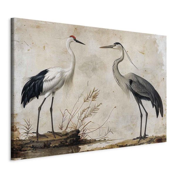 Tableau XXL - Birds from an old engraving - vintage-style illustration depicting a heron and a crane