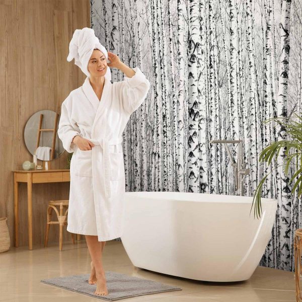 Papier peint - Birch forest