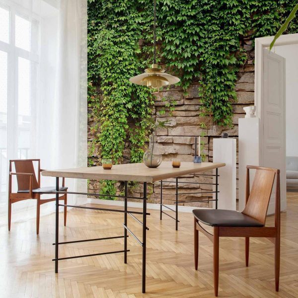 Papier peint - Ivy wall