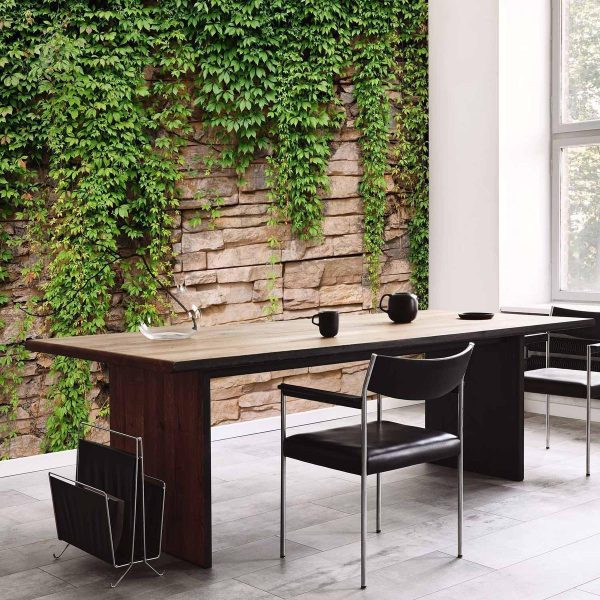 Papier peint - Ivy wall