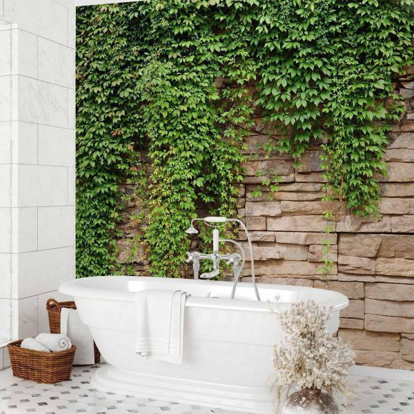 Papier peint - Ivy wall