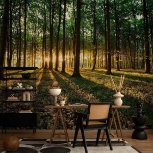 Papier peint - Mystical Morning