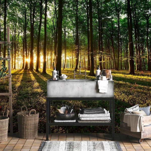 Papier peint - Mystical Morning