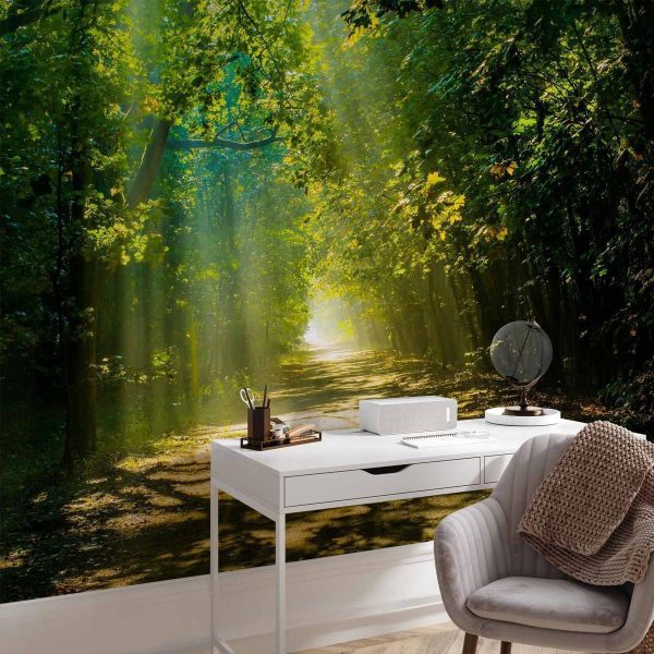 Papier peint - Road in Sunlight