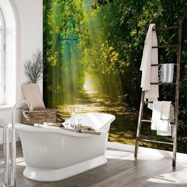 Papier peint - Road in Sunlight