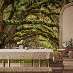 Papier peint - Tree embrace