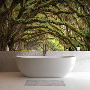 Papier peint - Tree embrace