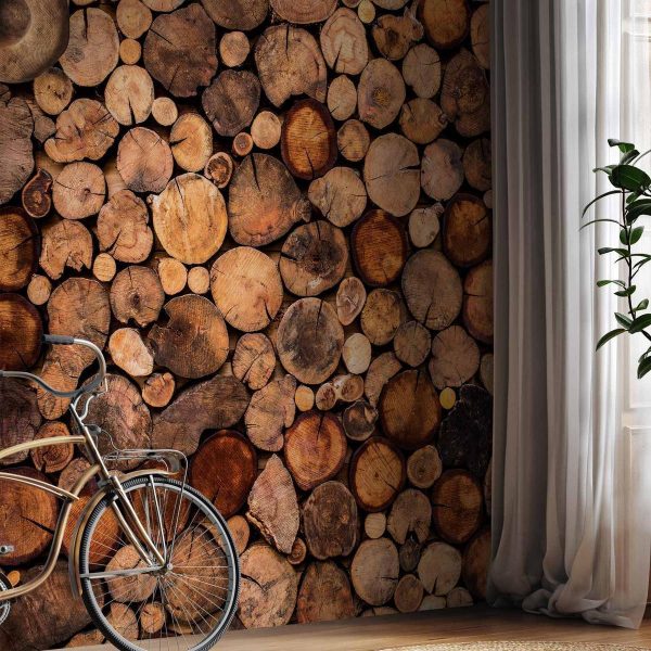 Papier peint - Wooden Gate