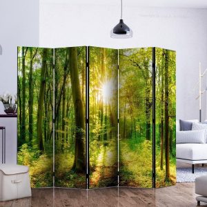 Paravent - Forest Rays II