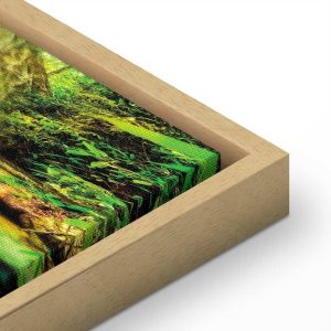 Tableau - A Jewel of Nature