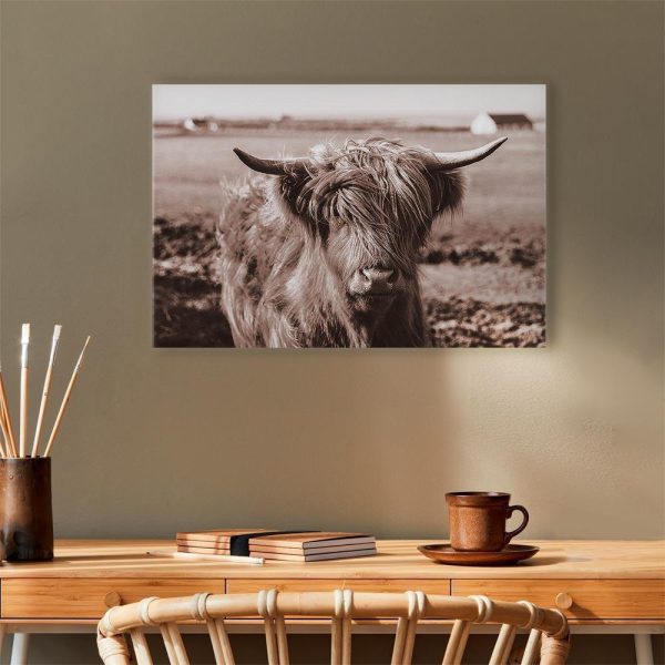 Tableau - A Scottish Cow in Sepia