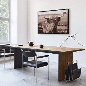 Tableau - A Scottish Cow in Sepia