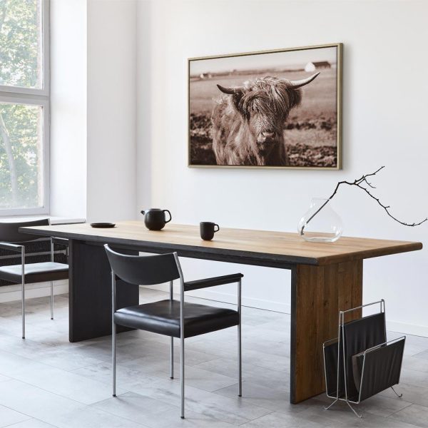 Tableau - A Scottish Cow in Sepia