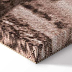 Tableau - A Scottish Cow in Sepia