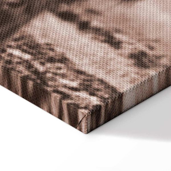 Tableau - A Scottish Cow in Sepia