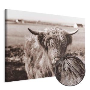 Tableau - A Scottish Cow in Sepia