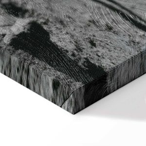 Tableau - Always First (1 Part) Wide