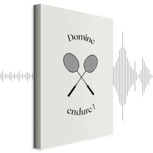 Tableau - Black Badminton Rackets