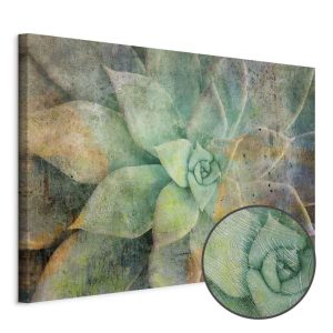 Tableau - Blooming Tones (1 Part) Wide