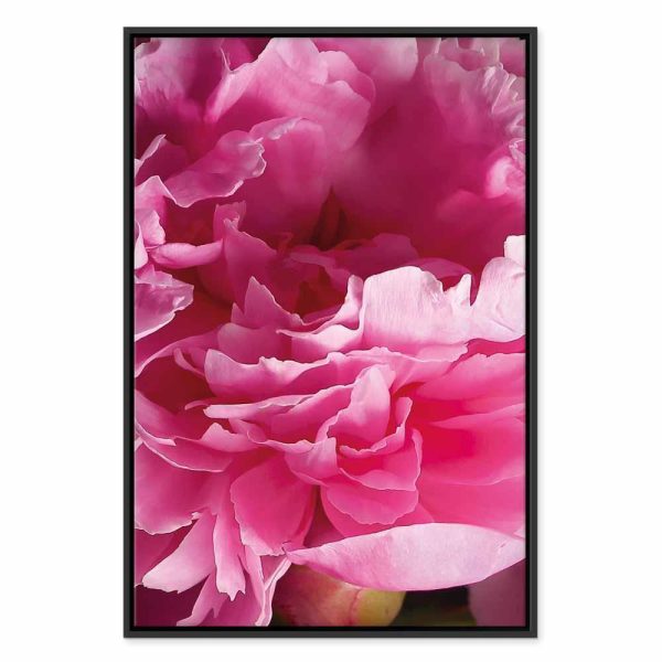 Tableau - Blossom of Beauty (1-part) - Pink Peony Flower Embraced by Nature