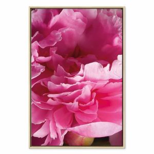 Tableau - Blossom of Beauty (1-part) - Pink Peony Flower Embraced by Nature