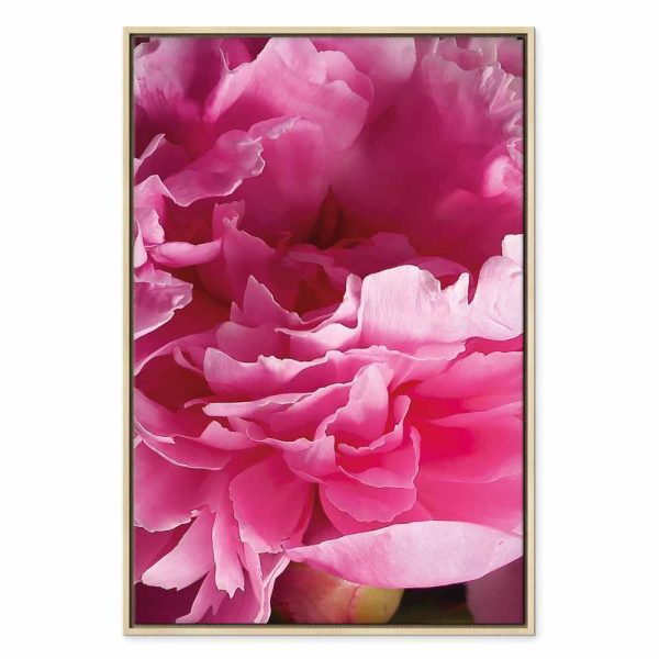 Tableau - Blossom of Beauty (1-part) - Pink Peony Flower Embraced by Nature