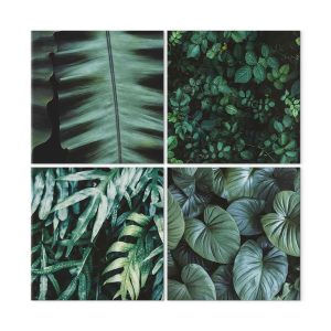 Tableau - Botanical Depth (4 Parts)