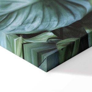 Tableau - Botanical Depth (4 Parts)