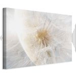 Tableau - Dandelion in the Sun (1 Part) Wide