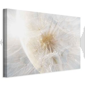 Tableau - Dandelion in the Sun (1 Part) Wide