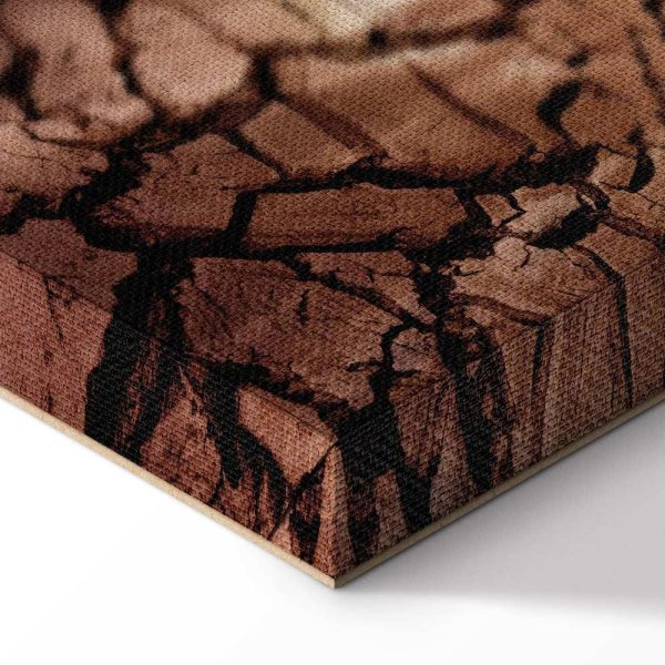 Tableau - Drought (1 Part) Vertical