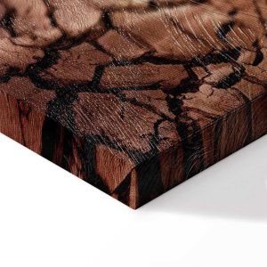 Tableau - Drought (1 Part) Vertical