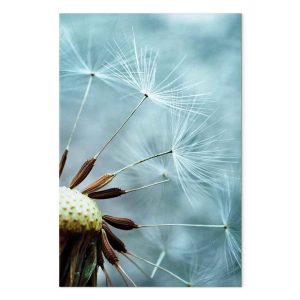 Tableau - Elevation of Space (1 Part) Vertical