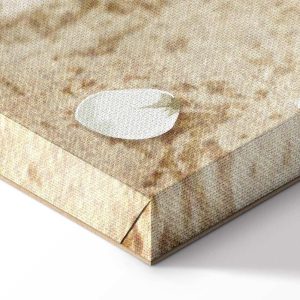 Tableau - Falling Flowers (1 Part) Wide